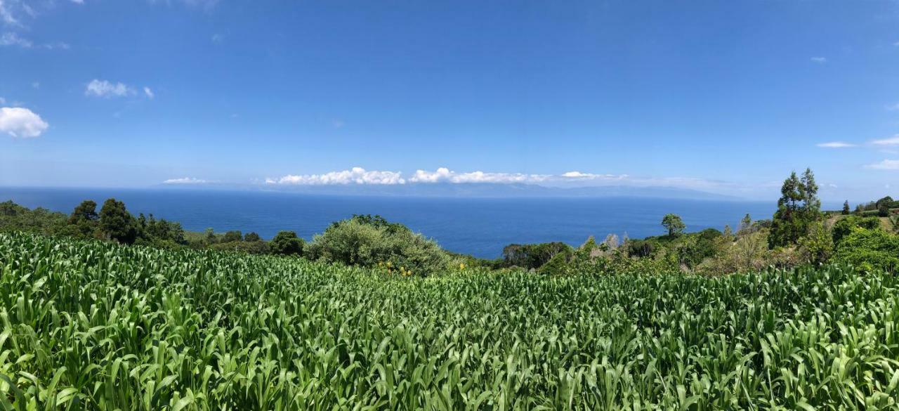 Prainha de Cima Casa De Laゲストハウス エクステリア 写真