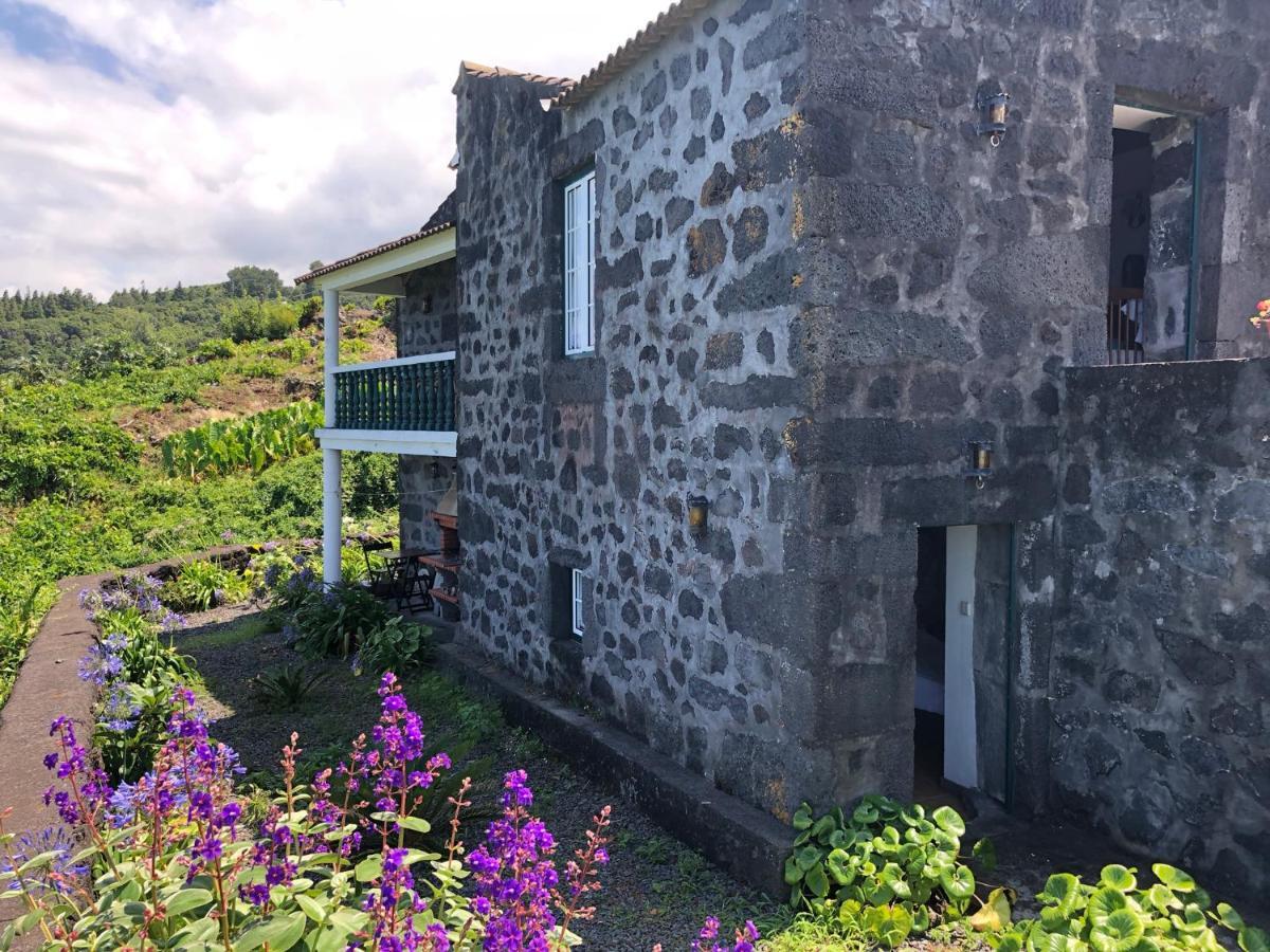 Prainha de Cima Casa De Laゲストハウス エクステリア 写真